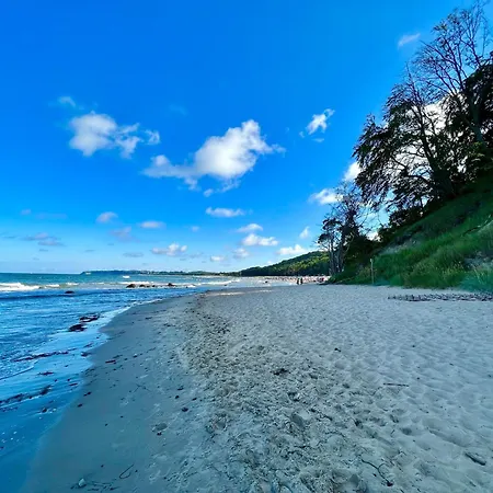 Haus Waldidyll, Vergissmeinnicht * Sellin (Rugen)