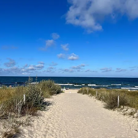 Haus Waldidyll, Vergissmeinnicht * Sellin (Rugen)
